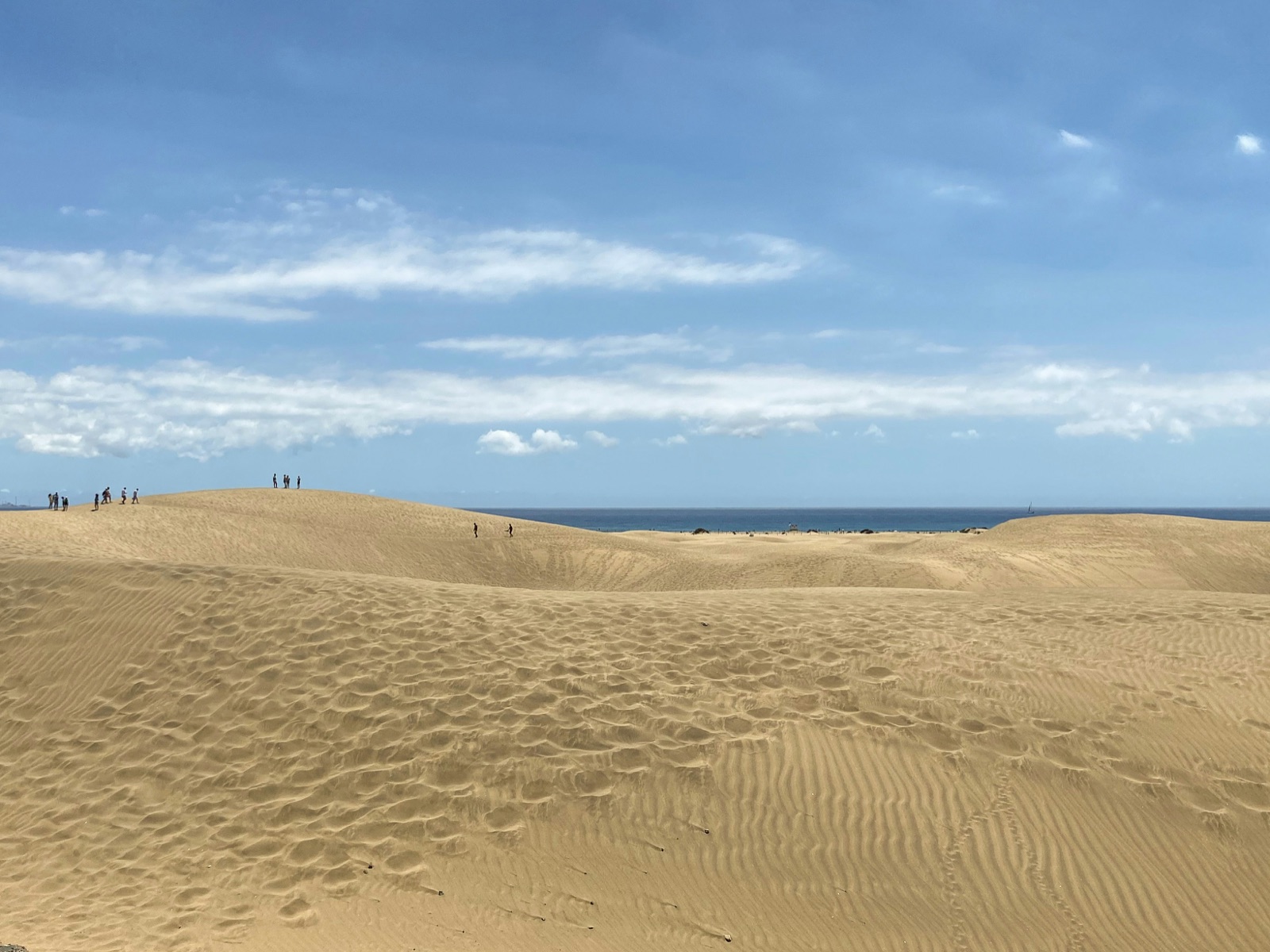 Jockey's Ridge State Park Nags Head OBX